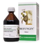 BEFUNGIN - Sibirska čaga